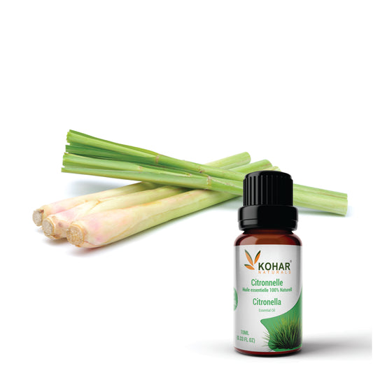 Citronella Essential Oil 10 ml