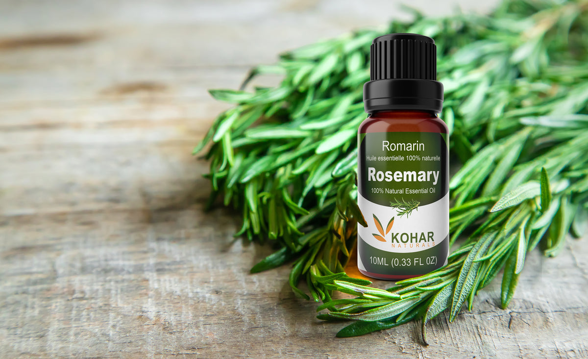 Rosemary Essential Oil 10 ml